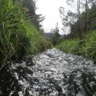 The department wants people's thoughts on the Government's proposed plan to clean up waterways....