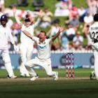Neil Wagner appeals during day five of the second test against England in Wellington in February...