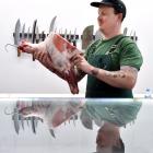 Dunedin butcher James Biggs. Photo: Peter McIntosh