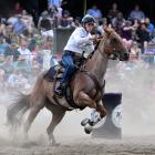 Emily Daly, of Leeston, competes in the Open Barrel Race at the 2024 Outram Rodeo yesterday....
