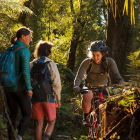 The Paparoa Track - which is connected to the new Pike29 walk - is shared by trampers and...