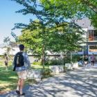 Student halls of residence at the University of Canterbury. Photo: Supplied / UC