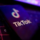 TikTok has come under increasing fire over fears that user data could end up in the hands of the...