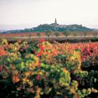 Typical village and vineyard in Rioja province. PHOTOS: PAUL MARSHALL