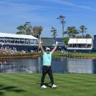 Ryan Fox celebrates his hole-in-one on the famous 17th at the Players Championship. Photo: Getty...