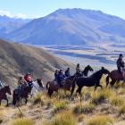 Riders on the Galloway to Twizel leg of a horse trek through the South Island head for the...