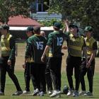 Weedons players celebrate a wicket against Darfield earlier in the season. PHOTO: WEEDONS CRICKET...