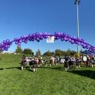 The Selwyn Relay for Life raises thousands for people living with cancer each year. Photo: Supplied