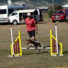 Tracey Page, of Timaru, watches on as her dog Phoenix makes it over a jump at the North Otago Dog...