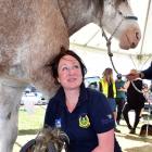 Scottish-born farrier Sarah Brown is one of the few women competing as a farrier internationally....