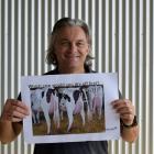 Displaying a poster designed to spark discussion on the best time to dry off individual cows is...