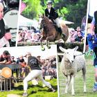The Wānaka A&amp;P Show is on today and tomorrow. There will be plenty of entertainment for the...