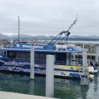 Whale Watch Kaikōura is recognised around the world. Photo: David Hill