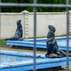 The seals of the Oamaru Public Gardens will soon be removed to make space for a new water play...