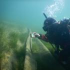 A diver inspects hessian matting on the lake bed in Paddock Bay, Lake Wānaka. Native plants can...
