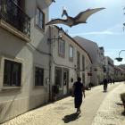 A flying lizard takes to the air above Lourinha, Portugal. PHOTOS: GILLIAN VINE