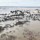 An aerial view of a flooded residential area in the North Kazakhstan region. Photo: Reuters
