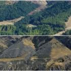 The top photo shows Skippers in 2010 and the photo below shows it now. Remnant native forest can...