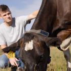 Halter founder Craig Piggott credits his time at Rocket Lab for contributing to his success with...