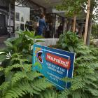 A sign in George St, Dunedin, warns people to stay out of garden beds because of "carnivorous...