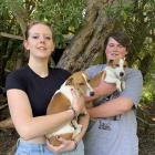Lucy Jackson, 18 (left), holds Max, and Jamie Hall, 18, holds Jesse — the two dogs missing from...