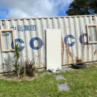 The Environment Court confirmed the container as public art. Photo: RNZ