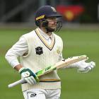 Dale Phillips had a late flurry of runs to finish leading scorer in the Plunket Shield. PHOTO:...