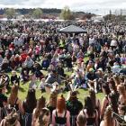 Last year's Blossom Festival. PHOTO: ODT FILES