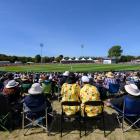 The Hagley Oval is a popular cricket ground for fans of the game - but its recycling practices...