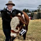 Elizabeth Cooper, aged 13, of Oxford, with her family’s Hereford yearling bull, Rider, which won...