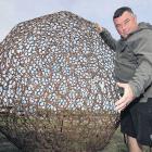 Damien Elley with his three metre high horse shoe ball. PHOTO: JOHN COSGROVE