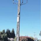 Stealing copper on power poles is putting people at risk. Photo: North Canterbury News file image