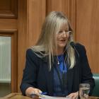 Penny Simmonds speaks at parliament on Wednesday. PHOTO: ODT FILES