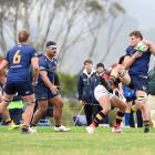 Dunedin's James Bolton holds the ball in today's premier rugby match against Zingari at...