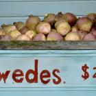 Swedes for sale at a roadside stall in Stirling, South Otago. Photo by Gerard O'Brien.