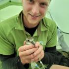 Guy McDonald hopes to bring awareness to the plight of the Southern New Zealand dotterel. PHOTO:...