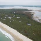 The Waituna Lagoon has been battling a toxic algae that can prove hazardous to humans and some...