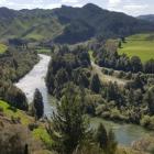 The Whanganui River was granted personhood status in 2017. Photo: LDR / Moana Ellis