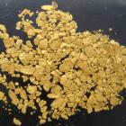 Record high gold prices have prompted hobby prospectors to dust off spades and pans and head to...