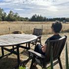 The Maniototo big skies are a long way from Tehran but they are a place where Iranian immigrant...