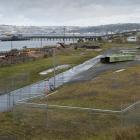 Port Otago plans to use this land to the north of Moller Park in Ravensbourne as a temporary...