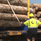 Forestry is New Zealand's third largest primary export earner. Photo: KiwiRail