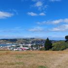 The hills behind Oamaru are bare and beautiful. Photo: Clare Fraser