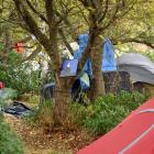 A community of homeless people are living in tents on road reserve beside the Oval. PHOTO:...
