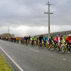 Cyclists head through frozen and green hills on the way from Queenstown to Invercargill. PHOTO:...