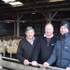 At a Perendale Sheep Society of New Zealand annual conference tour stop at the Kamahi Perendale...