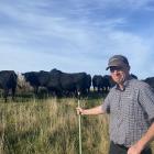 Palmerston livestock agent Gerard Shea hopes sharing his own story will encourage others to seek...