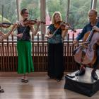 The New Zealand String Quartet. PHOTO: LATITUDE CREATIVE
