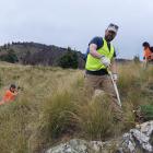 Environment Southland biosecurity and biodiversity operations manager Ali Meade (left) and...
