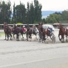 Harness racing at Winton. PHOTO: HRNZ